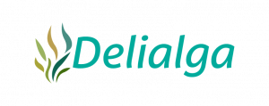 delialga-logo